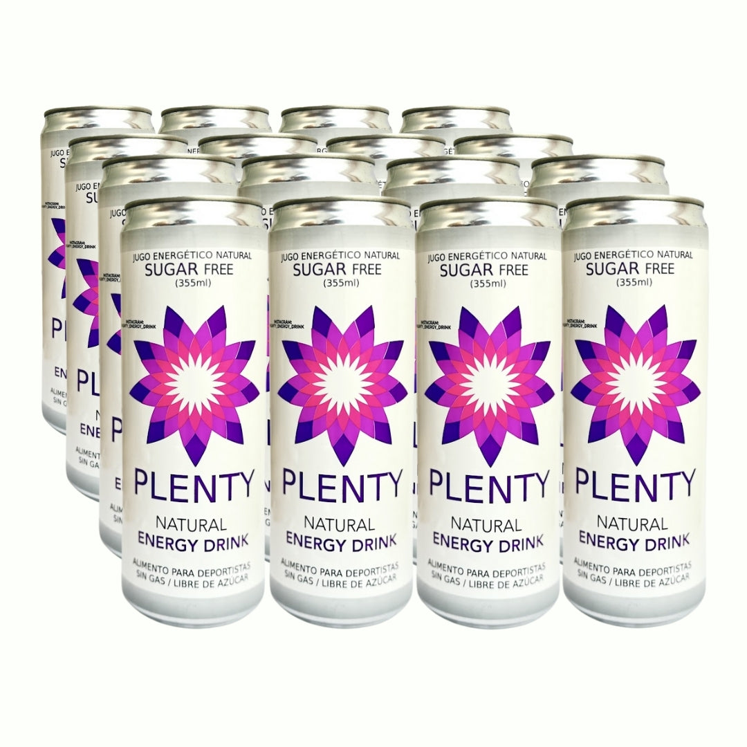 PACK 16 UNIDADES 355ML