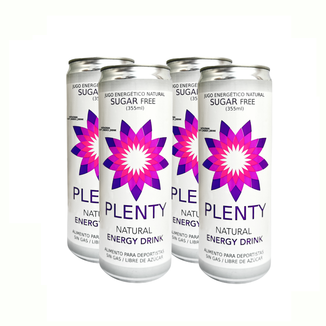 PACK 4 UNIDADES 355ML
