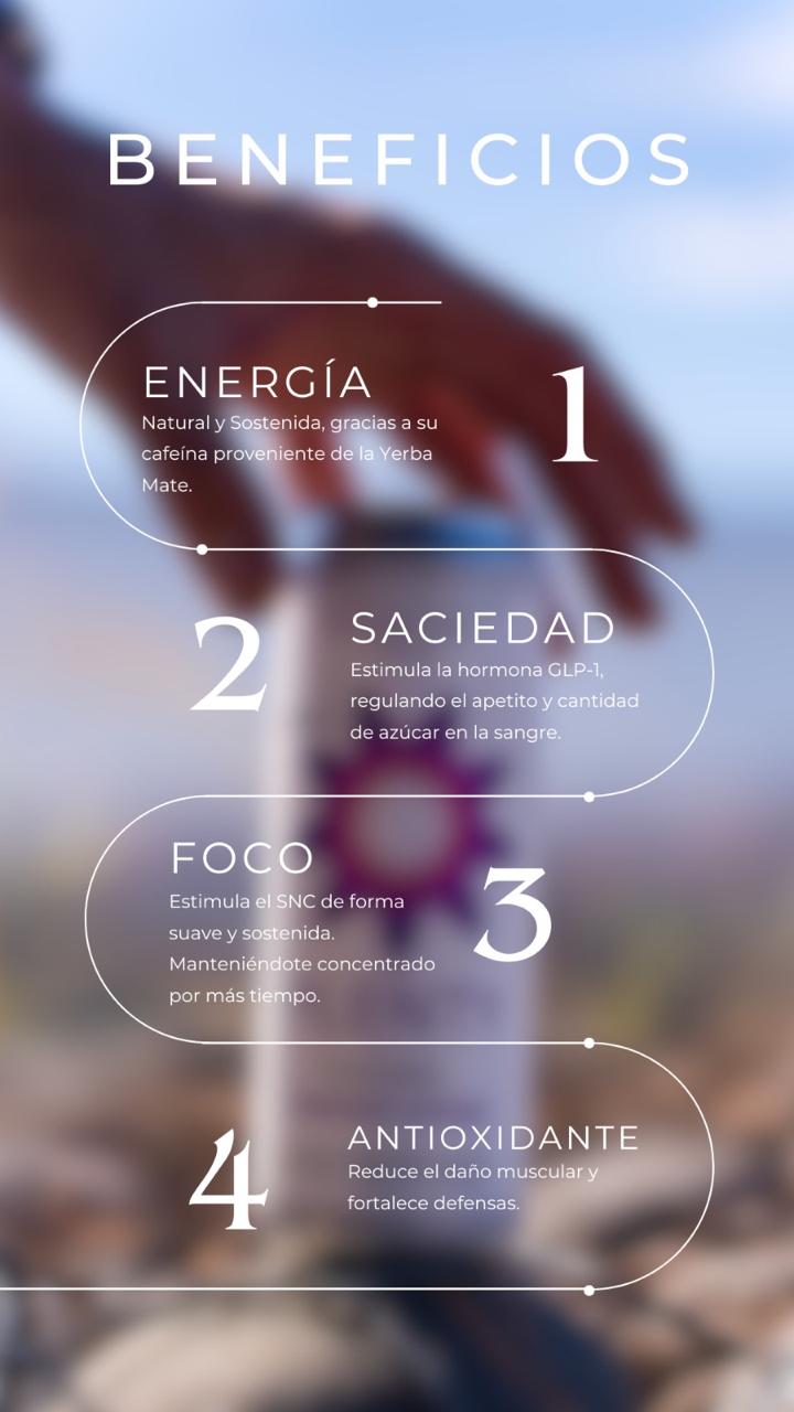 PACK 12 UNIDADES 355ML